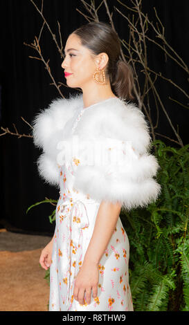 New York, Vereinigte Staaten. 17 Dez, 2018. New York, NY - 17. Dezember 2018: Rosa Salazar besucht die New York Screening von "Bird Box' in der Alice Tully Hall im Lincoln Center Credit: Lev radin/Alamy leben Nachrichten Stockfoto