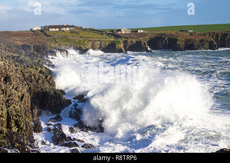 Sandbucht, Castlehaven, West Cork, Irland, 18. Dezember 2018. Noch eine weitere Nacht der Gale force onshore Winde treiben riesige Wellen bis zu den Klippen an der Küste Eigenschaften. Credit: aphperspective/Alamy leben Nachrichten Stockfoto