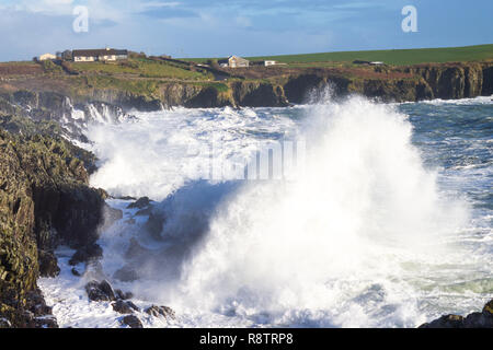 Sandbucht, Castlehaven, West Cork, Irland, 18. Dezember 2018. Noch eine weitere Nacht der Gale force onshore Winde treiben riesige Wellen bis zu den Klippen an der Küste Eigenschaften. Credit: aphperspective/Alamy leben Nachrichten Stockfoto