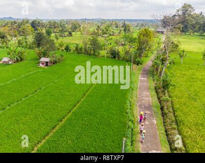Indonesien, Bali, Sidemen, die Reisfelder (Luftbild) Stockfoto