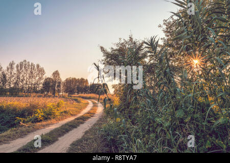 Land Feldweg in Lomellina bei Sonnenuntergang Stockfoto