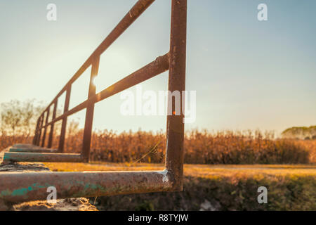 Brücke über einem bewässerungskanal der Lomellina bei Sonnenuntergang Stockfoto