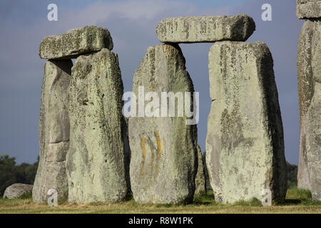 In der Nähe von Stonehenge, England, Großbritannien Stockfoto