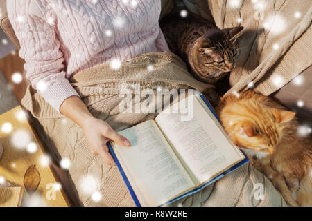 Rot und Tabby und Eigentümer lesen Buch zu Hause Stockfoto