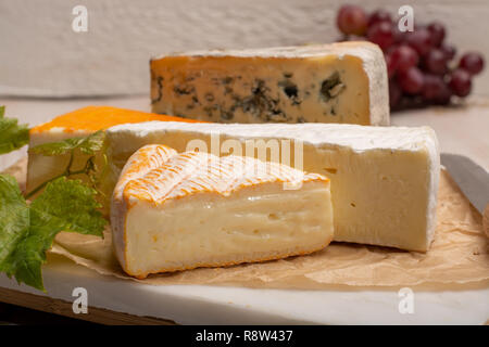 Verkostung Platte mit vier Frankreich Käse, Creme Brie, marcaire, Saint Paulin und blauen Käse der Auvergne, serviert mit frischen reifen Trauben Nahaufnahme Stockfoto