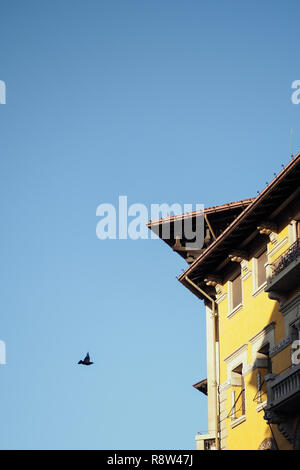 Gelbes Gebäude mit blauem Himmel und Vogel im Flug, Rom, Italien Stockfoto