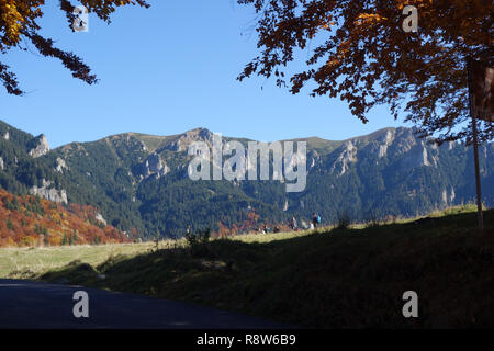 Die Buchenwälder warten auf die Touristen am Wochenende in diese malerische Orte zu verbringen. Stockfoto