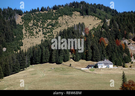 Die Buchenwälder warten auf die Touristen am Wochenende in diese malerische Orte zu verbringen. Stockfoto