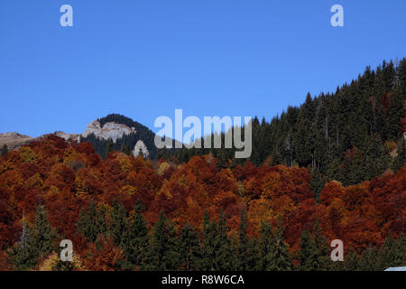 Die Buchenwälder warten auf die Touristen am Wochenende in diese malerische Orte zu verbringen. Stockfoto