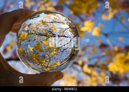 Glas Kugel erfasst Linien, Farben und Formen in der Zweige und Blätter. Bild gen Himmel schauen mit Himmel und Wolken im Hintergrund. Im Glas gefangen Stockfoto