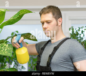 Reinigung Service Konzept. Mann interessieren für Blumen zu Hause. Stockfoto