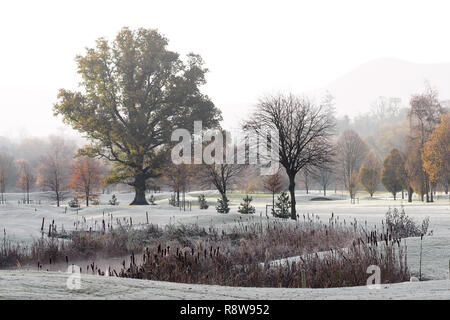 Foto von Cahir Golfkurs an einem frostigen Wintermorgen in der Morgensonne. Cahir Golf Club, Cahir, Tipperary, Irland Stockfoto