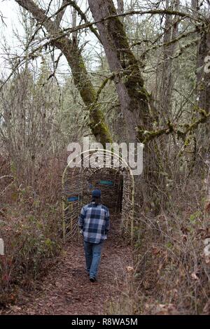 Ein Mann zu Fuß durch die Feuchtgebiete Anzeige am Mount Pisgah Arboretum in Eugene, Oregon, USA. Stockfoto