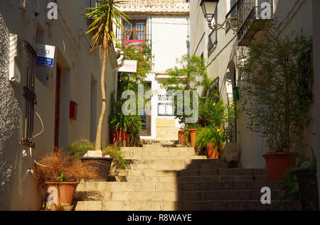 Treppen mit verschiedenen Pflanzen in der Altstadt von Altea, Altea, Provinz Alicante, Spanien eingerichtet. Stockfoto