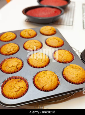 Süße hausgemachte Lebkuchen Muffins oder Cupcake bereit zu essen. Stockfoto