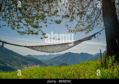 In bequemen Hängematte zwischen den Bäumen entspannen Stockfoto