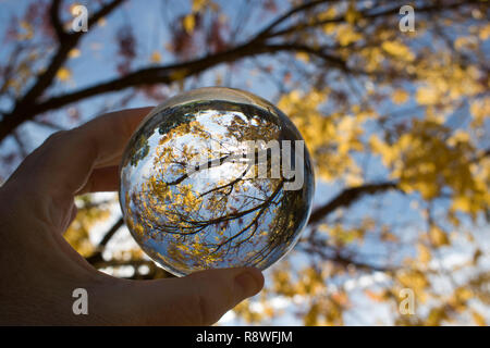 Glas Kugel erfasst Linien, Farben und Formen in der Zweige und Blätter. Bild gen Himmel schauen mit Himmel und Wolken im Hintergrund. Im Glas gefangen Stockfoto