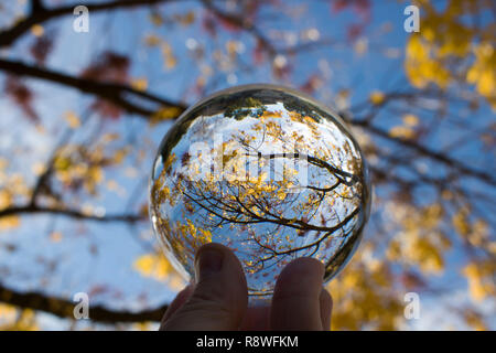 Glas Kugel erfasst Linien, Farben und Formen in der Zweige und Blätter. Bild gen Himmel schauen mit Himmel und Wolken im Hintergrund. Im Glas gefangen Stockfoto