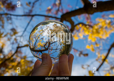 Glas Kugel erfasst Linien, Farben und Formen in der Zweige und Blätter. Bild gen Himmel schauen mit Himmel und Wolken im Hintergrund. Im Glas gefangen Stockfoto