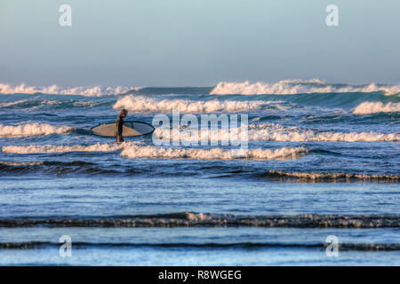 Bethells Beach, Auckland, Nordinsel, Neuseeland Stockfoto