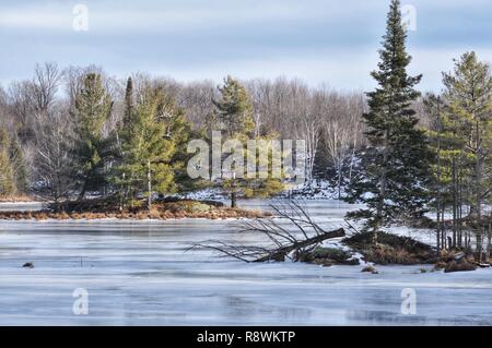 Winter-Einsamkeit Stockfoto