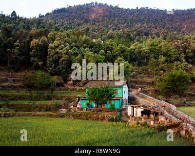 Haus in der Nähe vom Wald an Kala Agar Dorf, Kumaon Hügel, Uttarakhand, Indien Stockfoto