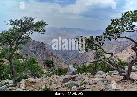 Blick auf das Tal von Berggipfel in der Nähe von Al Hada, Saudi-Arabien Stockfoto