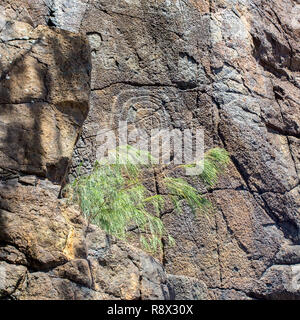 Kanak Felszeichnungen auf einem Ufer in der Nähe von Canala und Nakety, Nord Provinz Neukaledonien, Melanesien, Ozeanien. Aboriginal Art Ureinwohner Schnitzereien. Stockfoto