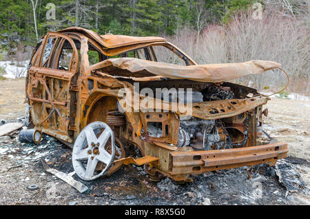 Niedergebrannt rusty Fahrzeug in den Wald mit seinen Körper verlassen wegen Brand- und Naturgewalten. Große Weise, Versicherung zu illustrieren. Stockfoto