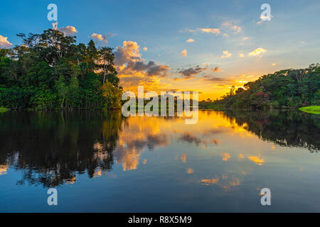 Reflexion eines Sonnenuntergangs im Regenwald des Amazonas Becken. Die Länder Brasilien, Bolivien, Kolumbien, Ecuador, Peru, Venezuela, Guyana und Surinam. Stockfoto