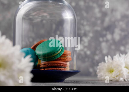 Multi-MACARONS unter der Glaskuppel und weißen Blumen der Chrysanthemen auf grauem Hintergrund gefärbt. Close-up. Zarte macarons Macarons. Stockfoto