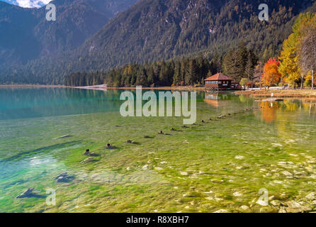 See Toblach, Südtirol im Herbst Stockfoto