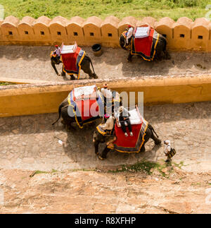 Elefanten arbeiten im Amber Fort in Jaipur in Nordindien Stockfoto