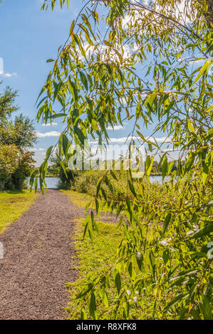 Big Woods See in Cedar Falls, Iowa fotografiert während der schönen Farben und Wolken. Stockfoto