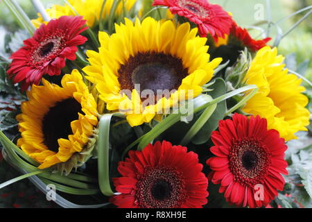 Blumenstrauß aus bunten Blüten mit roten Gerbera und gelbe Sonnenblumen Stockfoto