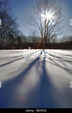 Lange Schatten am frühen Morgen auf dem Schnee Stockfoto