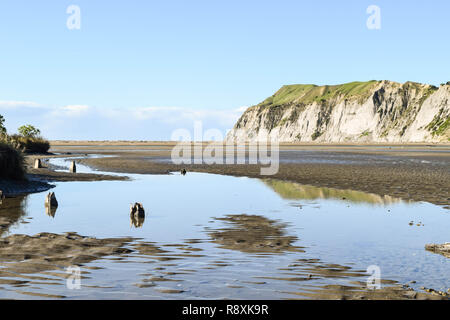 Alte hölzerne Beiträge kaum im Boden mit der Lagune sichtbar alle um ihn herum in Gisborne, Neuseeland Stockfoto