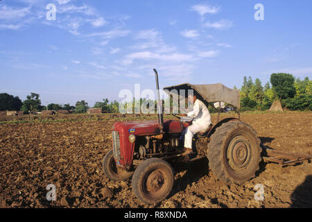 Traktor Pflügen im Feld Stockfoto