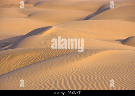 Sand, Dünen, Khuri, Jaisalmer, Rajasthan, Indien Stockfoto