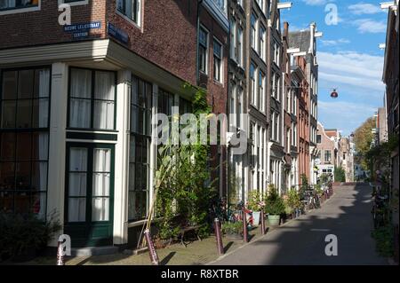 Niederlande, Amsterdam, Jordaan, Tweede Leliedwarsstraat Stockfoto