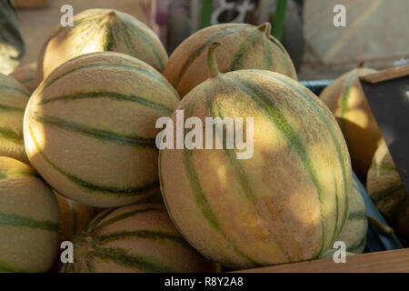 Melonen aus Cavaillon, reife Runde charentais Honig melone Melonen auf dem lokalen Markt in der Provence, Frankreich, in der Nähe Stockfoto