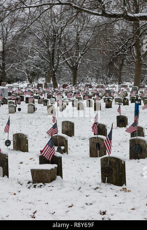 Friedhof mit amerikanischen Fahnen, Riverside Friedhof, Kalamazoo, Michigan, USA, von James D Coppinger/Dembinsky Foto Assoc Stockfoto