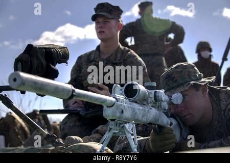 U.S. Navy Petty Officer 3rd Class Bryce Meeker, Sehenswürdigkeiten in eine M40 A5 Sniper Rifle während der Übung Wald Licht bei Somagahara, Japan, 8. März 2017. Wald Licht ist eine der verschiedenen bilateralen Ausbildungsmöglichkeiten durch japanischen Boden Selbstverteidigung durchgeführt und freuen uns bereitgestellt US Marine Corps forces das dauerhafte Engagement der beiden Länder zu Frieden, Stabilität und Wohlstand in der gesamten Region. Meeker ist ein Hospital corpsman für Scout Sniper Platoon, Golf Company, 2.BATAILLON, 3. Marine Regiment, die unterstützt III Marine Expeditionary Force. Stockfoto