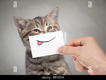 Lustige Katze lächelnd mit Zunge Stockfoto