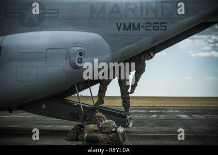 Cpl. Lance Wheeler, ein Wendell, Nord-Carolina Eingeborener, Späht aus der MV-22 Osprey an Somagahara, Japan, 9. März 2017. Us-Marines bereit, die Osprey für Japanische Ground-Self Defence Force Soldaten zu schnell Seil. Wald Licht ist eine der verschiedenen bi-laterale Ausbildungsmöglichkeiten geleitet durch JGSD und bereitgestellt, US-Marine das dauerhafte Engagement der beiden Länder zu Frieden, Stabilität und Wohlstand in der gesamten Region. Wheeler ist eine Maschine gunner mit Golf Company, 2.BATAILLON, 3. Marine Regiment. Die Opsrey gehören zu Marine Medium Tiltrotor Squadron 265, Marine Flugzeuge Gr Stockfoto