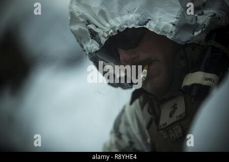 Us Marine Staff Sgt. Brett Tate, ein San Clemente, Kalifornien Eingeborener, liegt nach einer Wanderung bei Sekiyama, Japan, während der übung Wald Licht am 14. März 2017. Wald Licht ist eine der verschiedenen bi-laterale Ausbildungsmöglichkeiten geleitet durch JGSD und bereitgestellt, US-Marine das dauerhafte Engagement der beiden Länder zu Frieden, Stabilität und Wohlstand in der Region zu demonstrieren. Tate ist der Platoon Sergeant für erste Platoon, Firma G, 2., 3. Marine Regiment, 3rd Marine Division, III Marine Expeditionary Force. Stockfoto