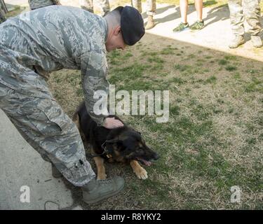 Senior Airman Brandon Caywood, 11 Security Support Squadron Militär Hundeführer, Haustiere Teo, 11 SSPTS MWD, während Teo retirement Zeremonie am Joint Base Andrews, Md., 9. März 2017. Teo zog sich nach 10 Jahren als Air Force Explosive Detection dog und wurde durch seine zweijährige handler Caywood angenommen. Stockfoto