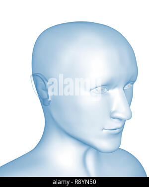 Transparente 3d-Kopf des Mannes - x-ray. Objekt über Weiß Stockfoto