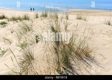 Frankreich, Bouches-du-Rhone, Regionale Naturpark der Camargue, Arles, Strand von Piémanson Stockfoto