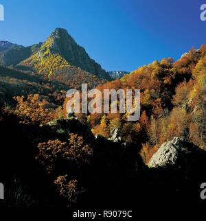 Spanien, Asturien, Caso, Redes, bergigen Landschaft im Herbst Stockfoto